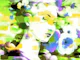 Madame Baroque Floral Canvas Pop