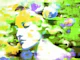 Madame Baroque Floral Dream