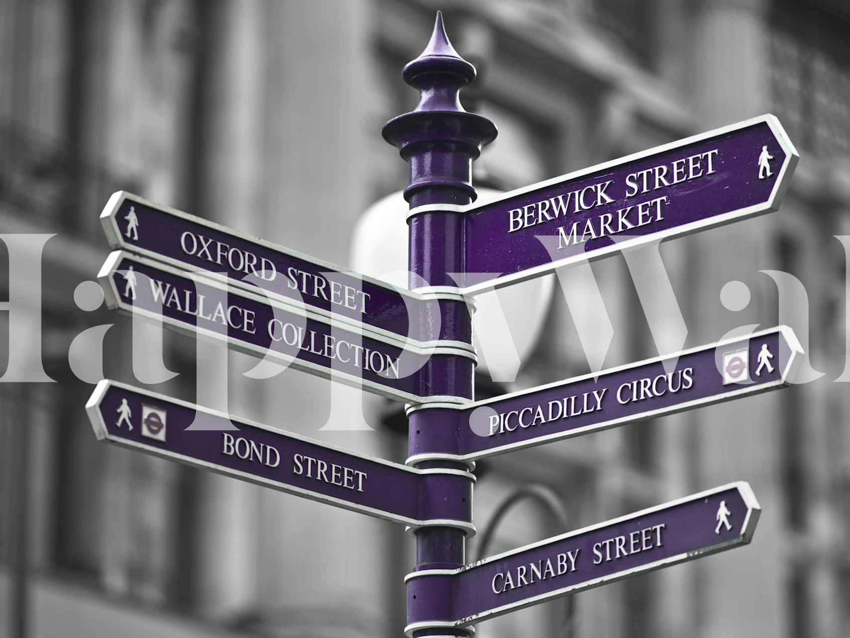 Purple street sign design with directional arrows and black and white background wallpaper