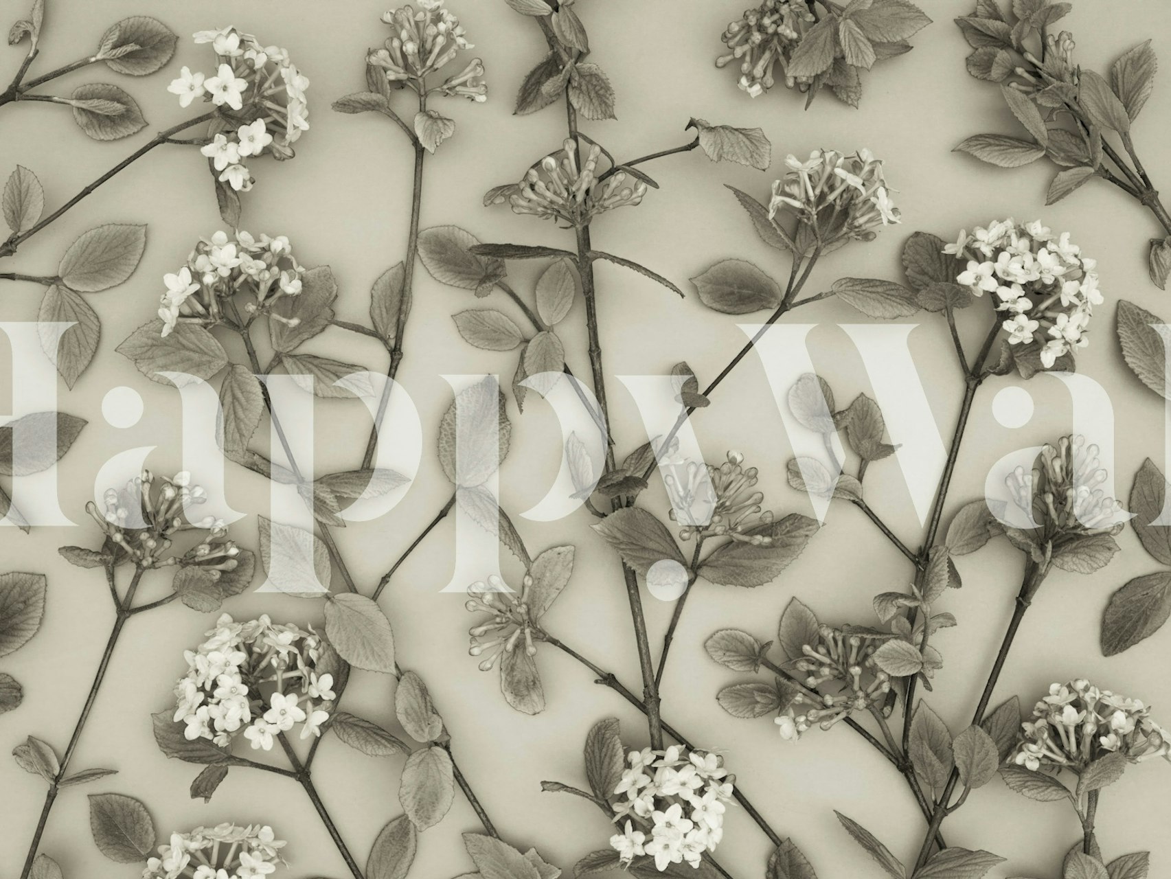 Floral pattern with delicate blossoms and leaves in black and white wallpaper