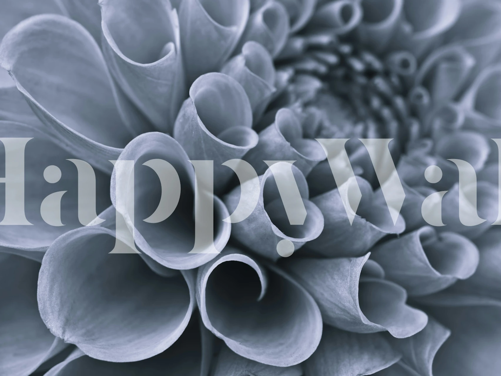 Blue floral petals close-up wallpaper