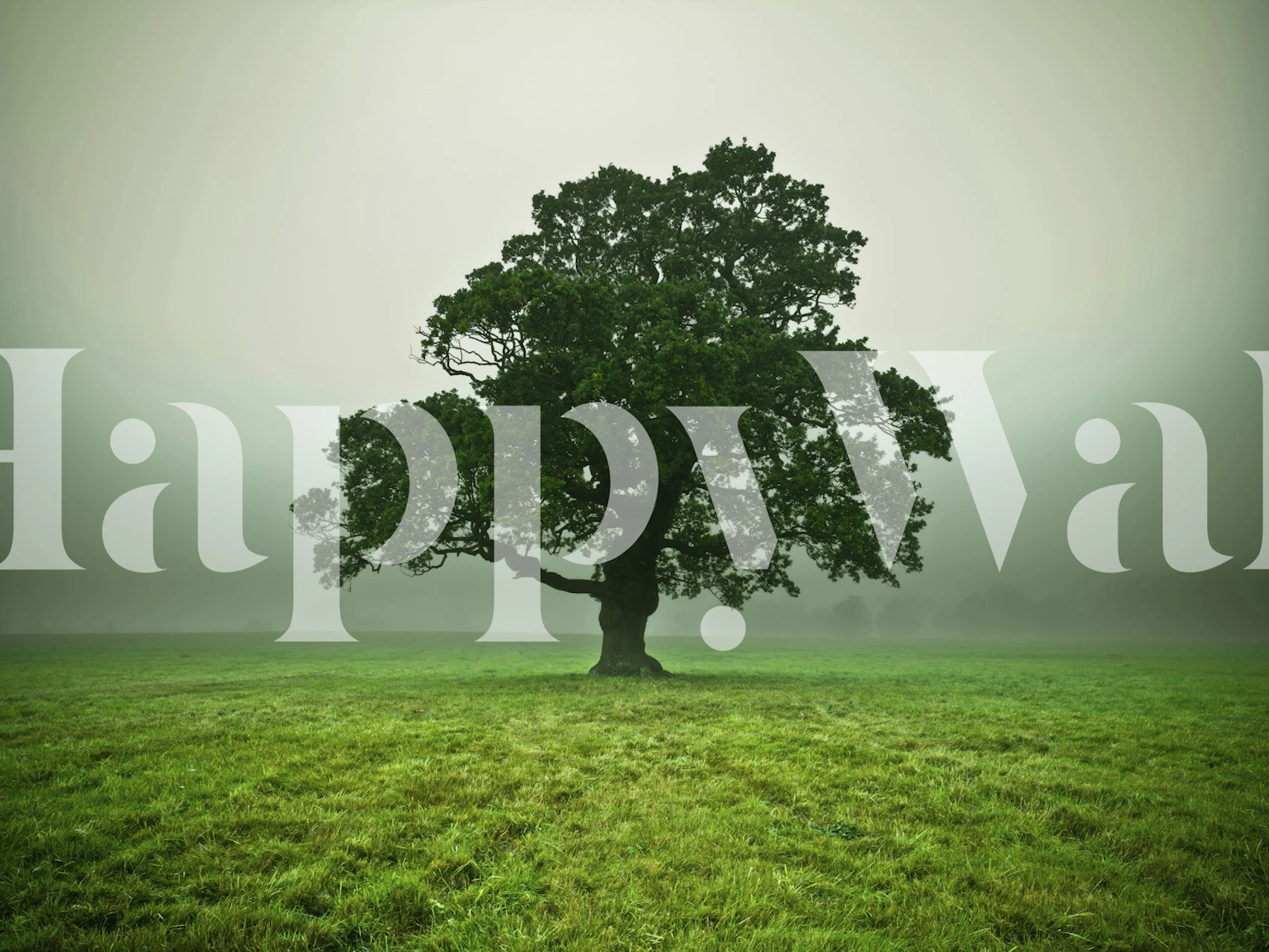 Ethereal Presence wallpaper displayed in a room