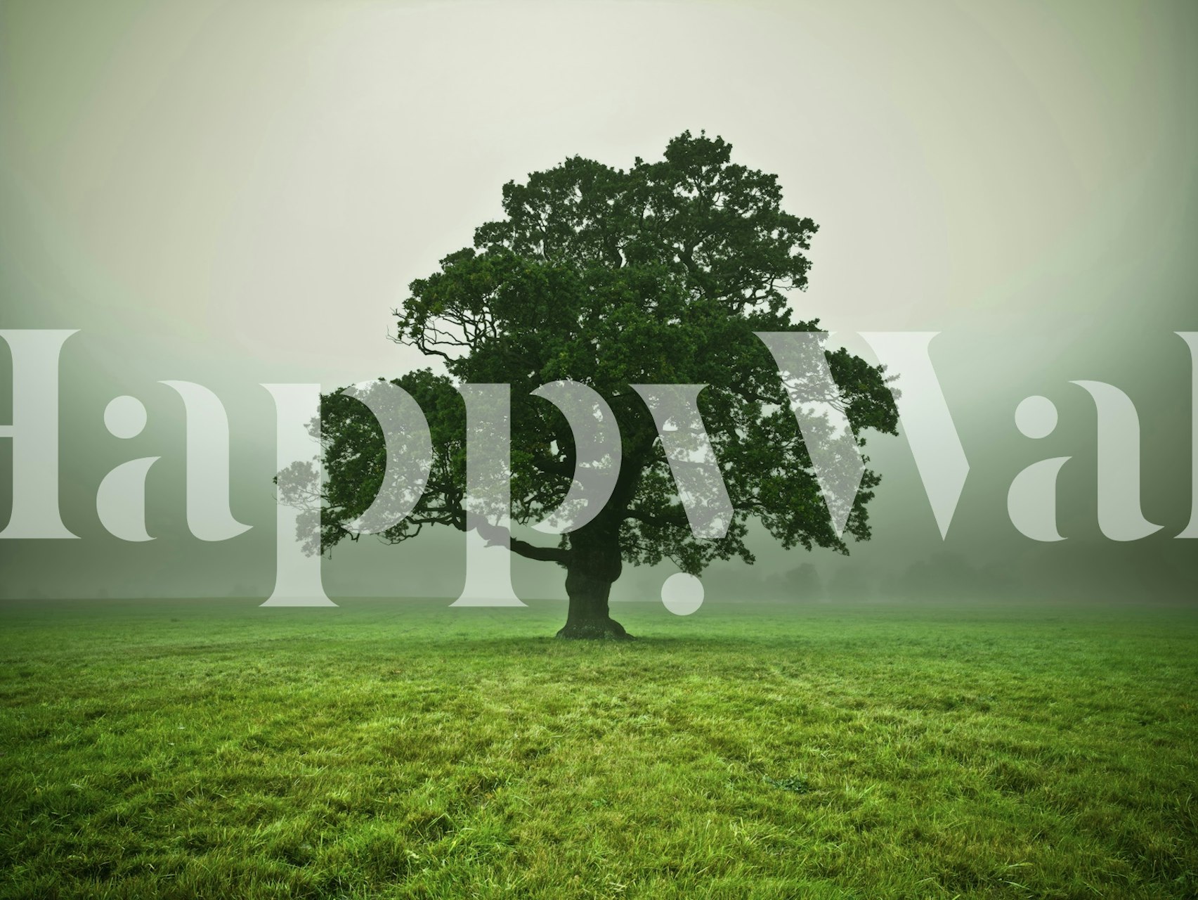 Ethereal Presence tapet vist i et rom