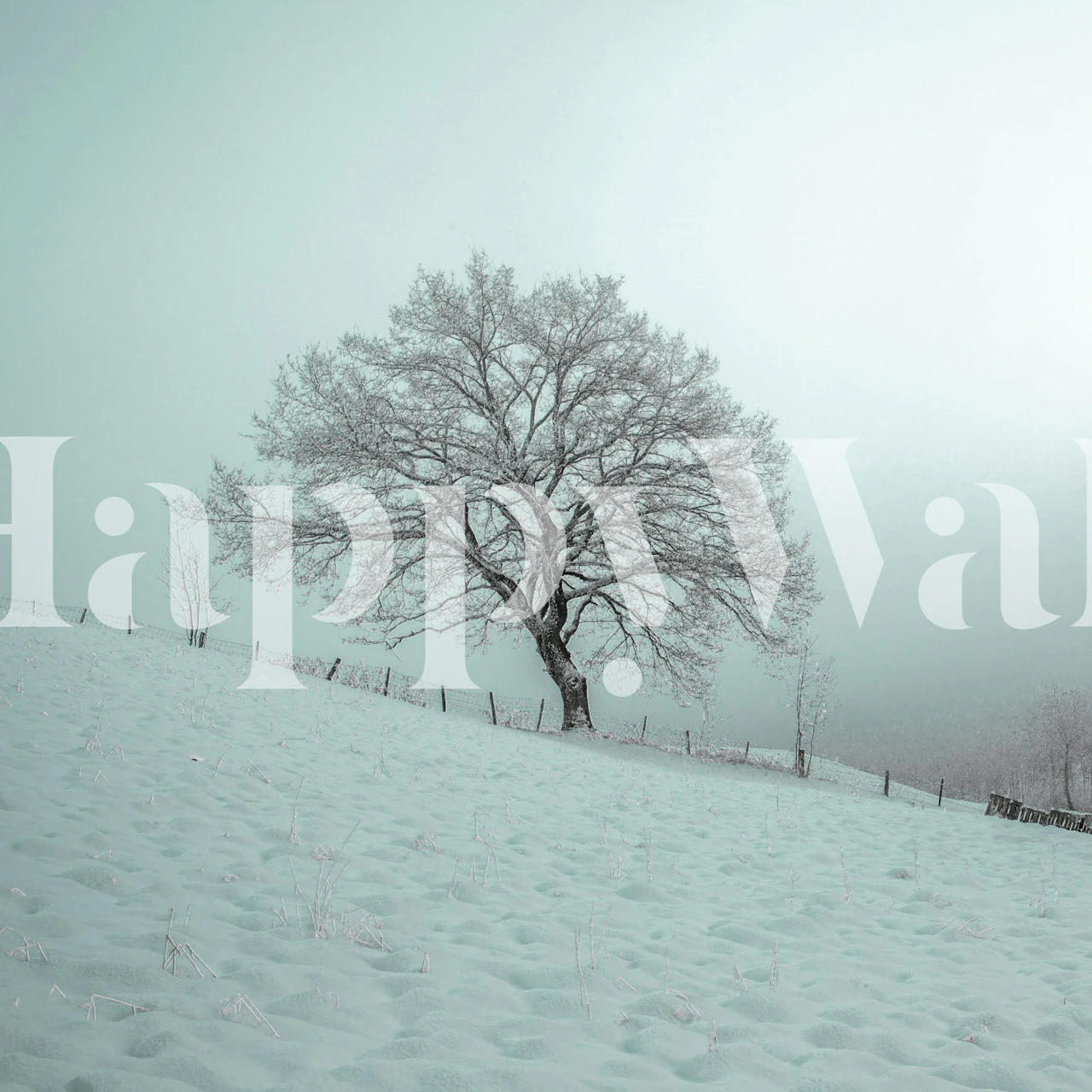 Snowy winter landscape with a lonely tree and soft blue hues wallpaper