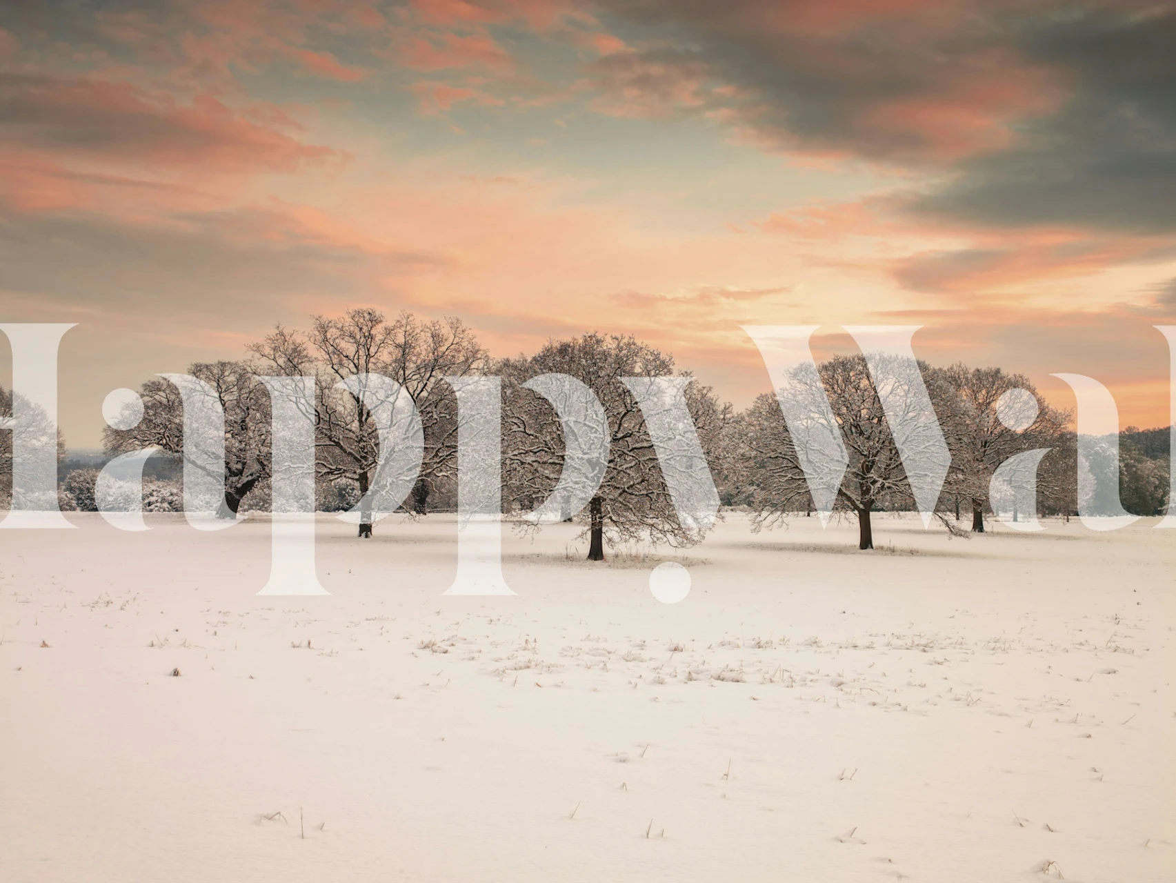 Snowy trees in a winter landscape at sunset wallpaper