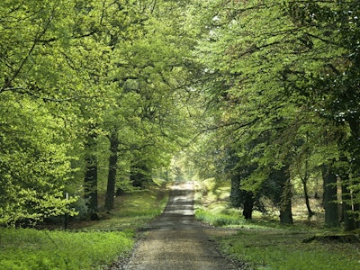 Wandgemälde
