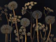 Wildflower Wonderland