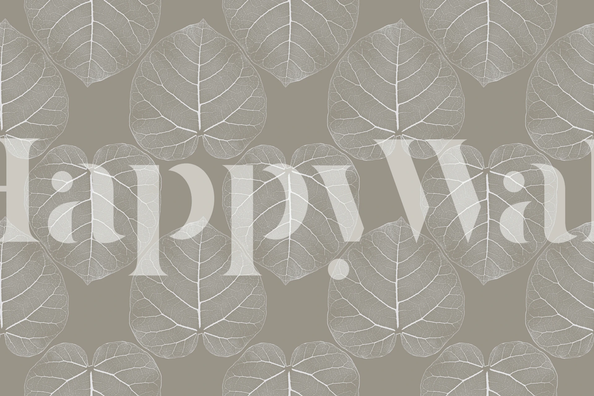 Ficus abutilifolia lövmönster tapet i gråskala