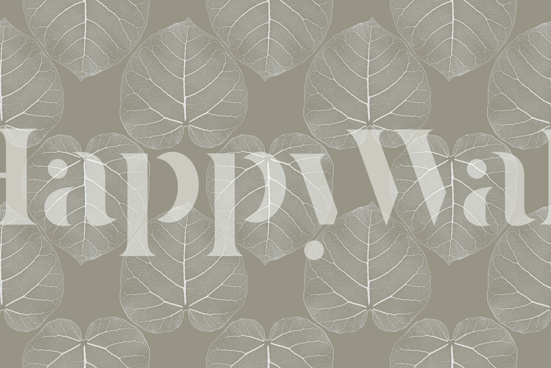 Fototapeta z motywem liści Ficus abutilifolia w skali szarości