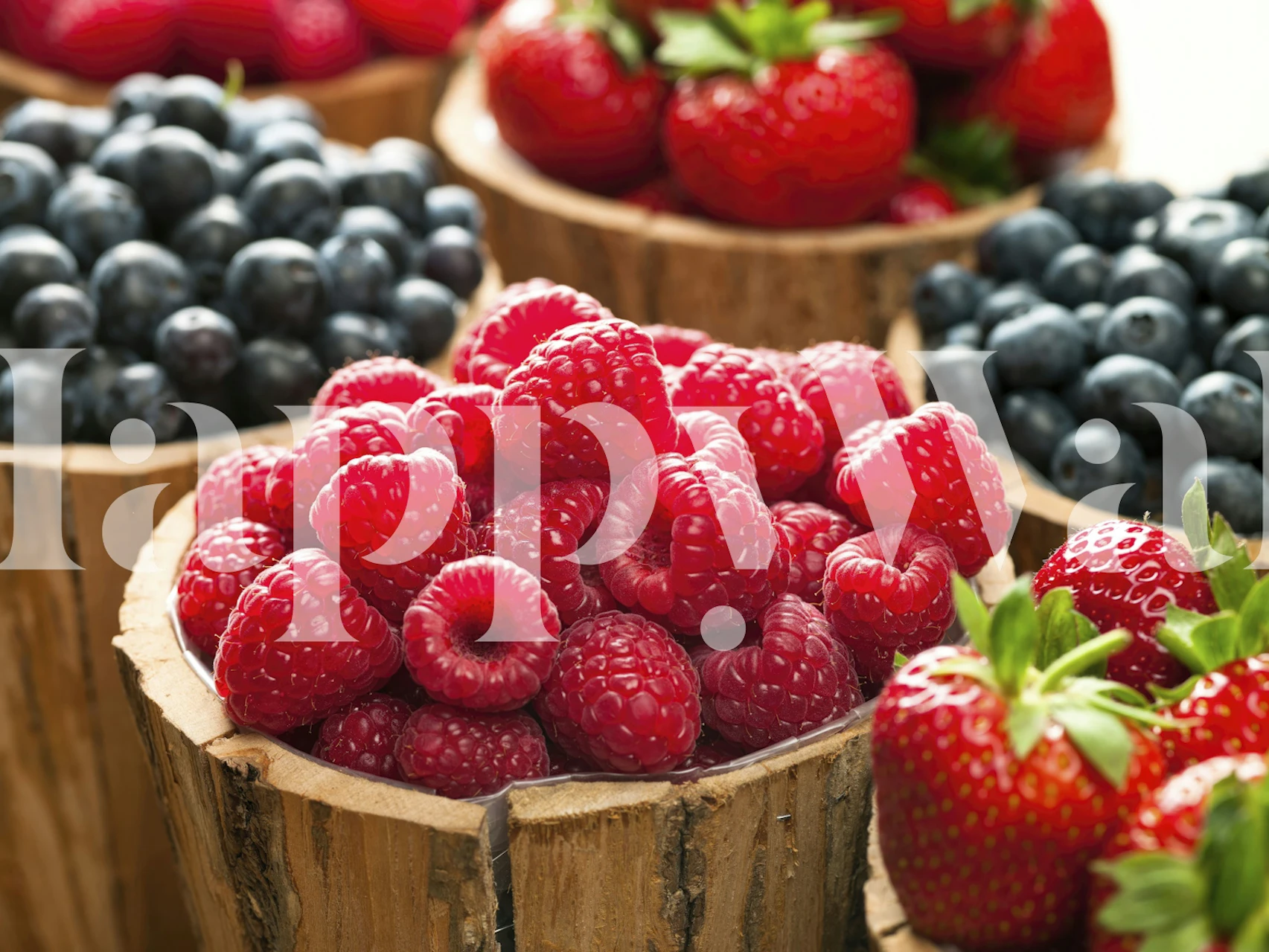 Berry Bonanza wallpaper design in a room