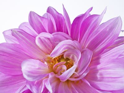 Τοιχογραφία