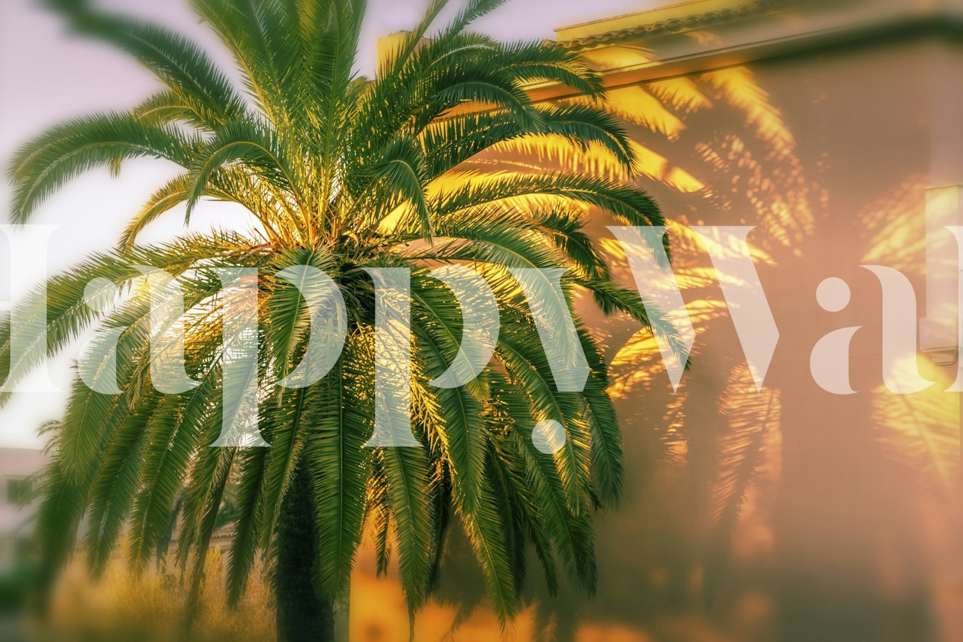 Papier peint Palm tree sunset dans une pièce