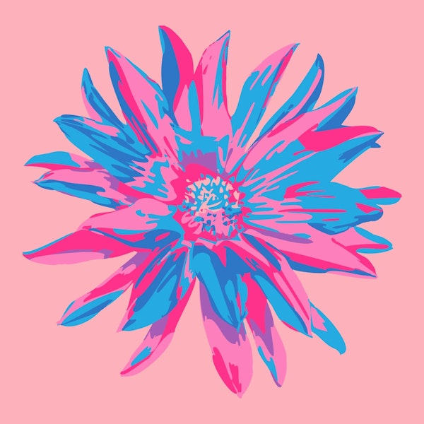 DAHLIA BURSTS Abstract Floral Single - Pink