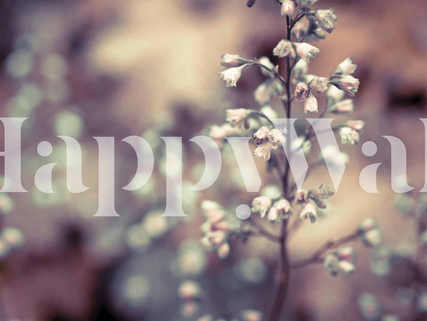 Heuchera Blossom fotobehang met softfocus bloemen