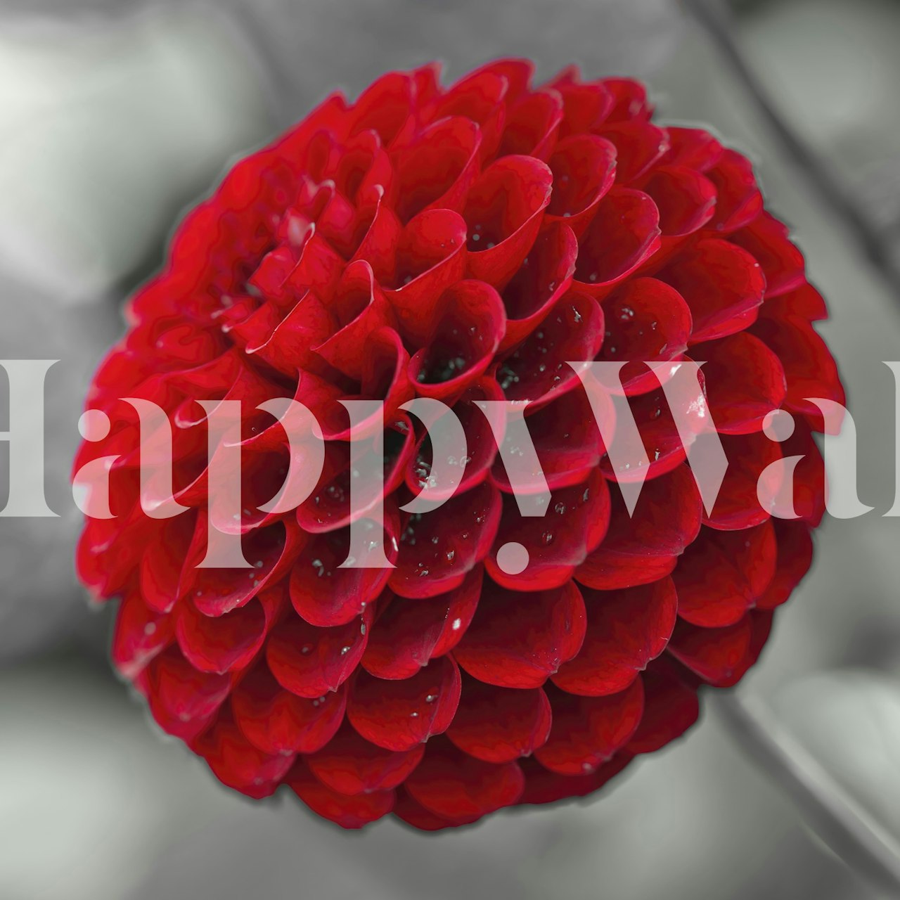 Red floral pattern on black background wallpaper