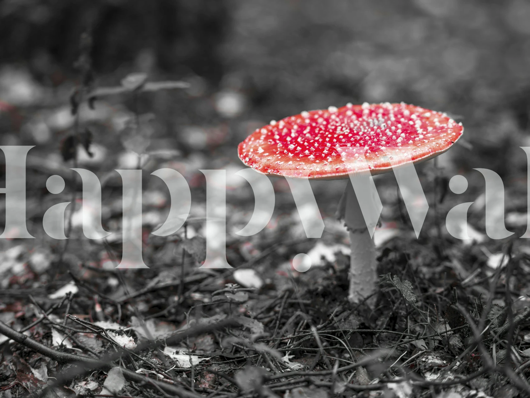 Mushroom Marvel wallpaper in a room