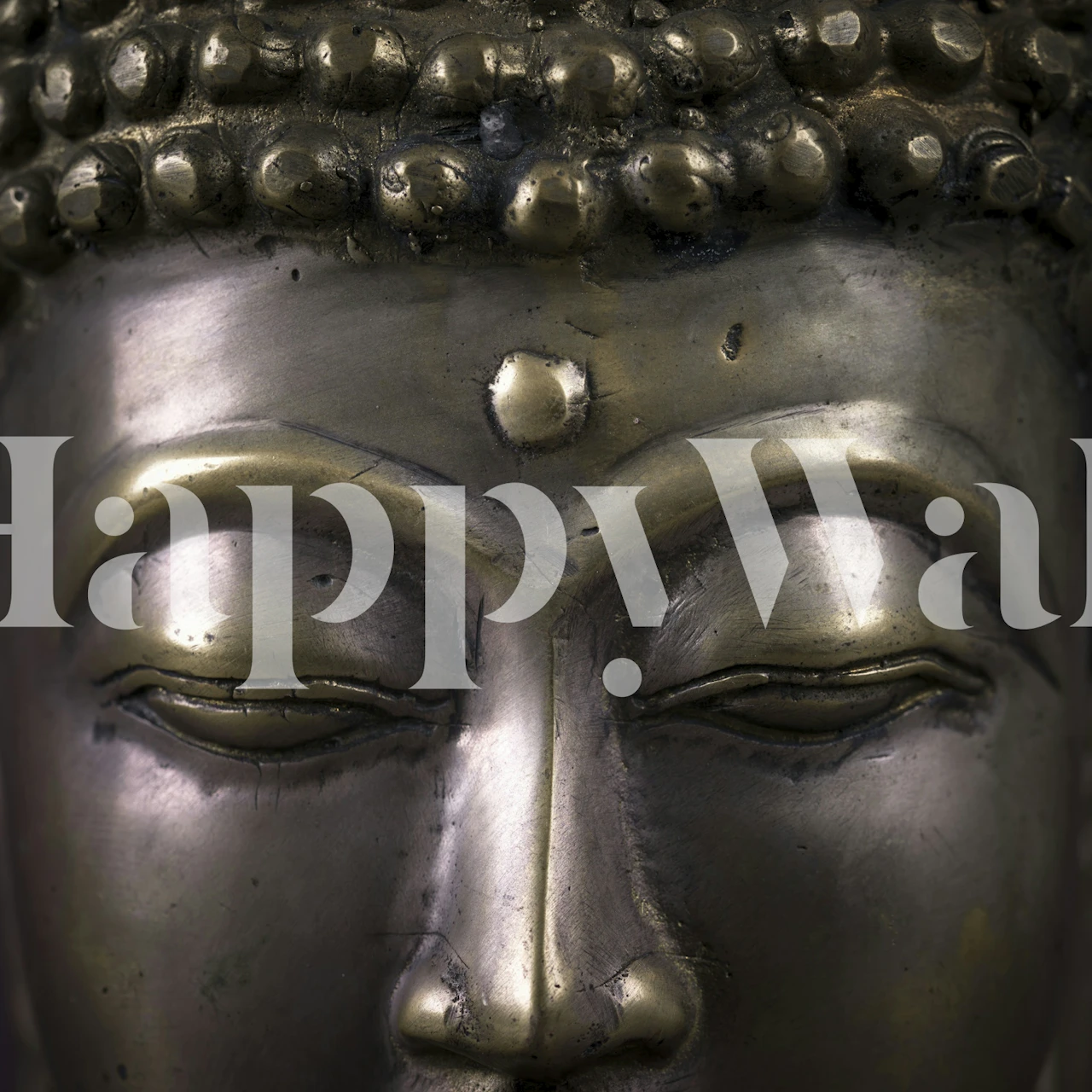 Bronze Buddha Head Wall Mural