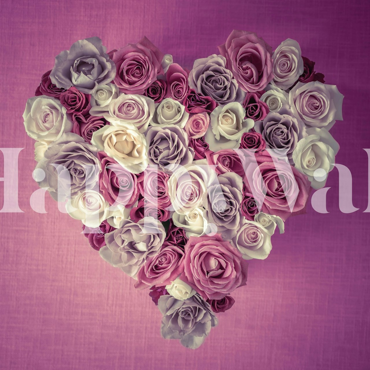 Heart shaped arrangement of pink and lavender roses wallpaper