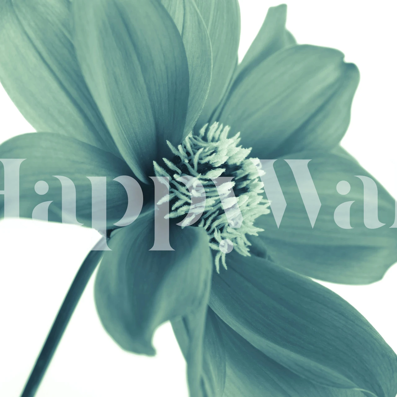 Teal dahlia floral pattern wallpaper in soft colors