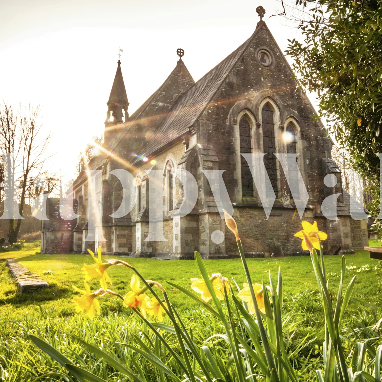 Yellow daffodil flowers and green foliage wallpaper