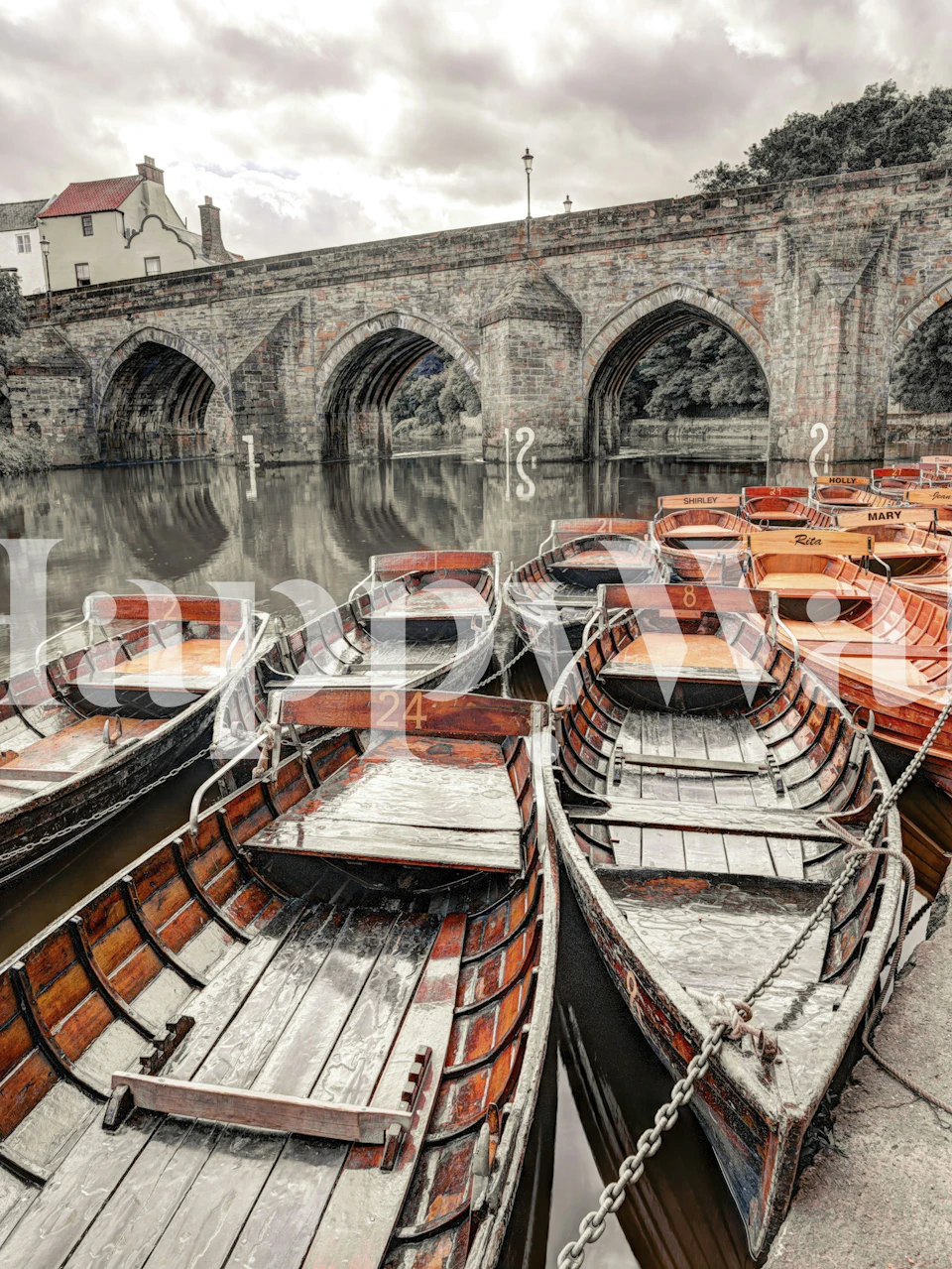 Rowing Boats sur eau calme