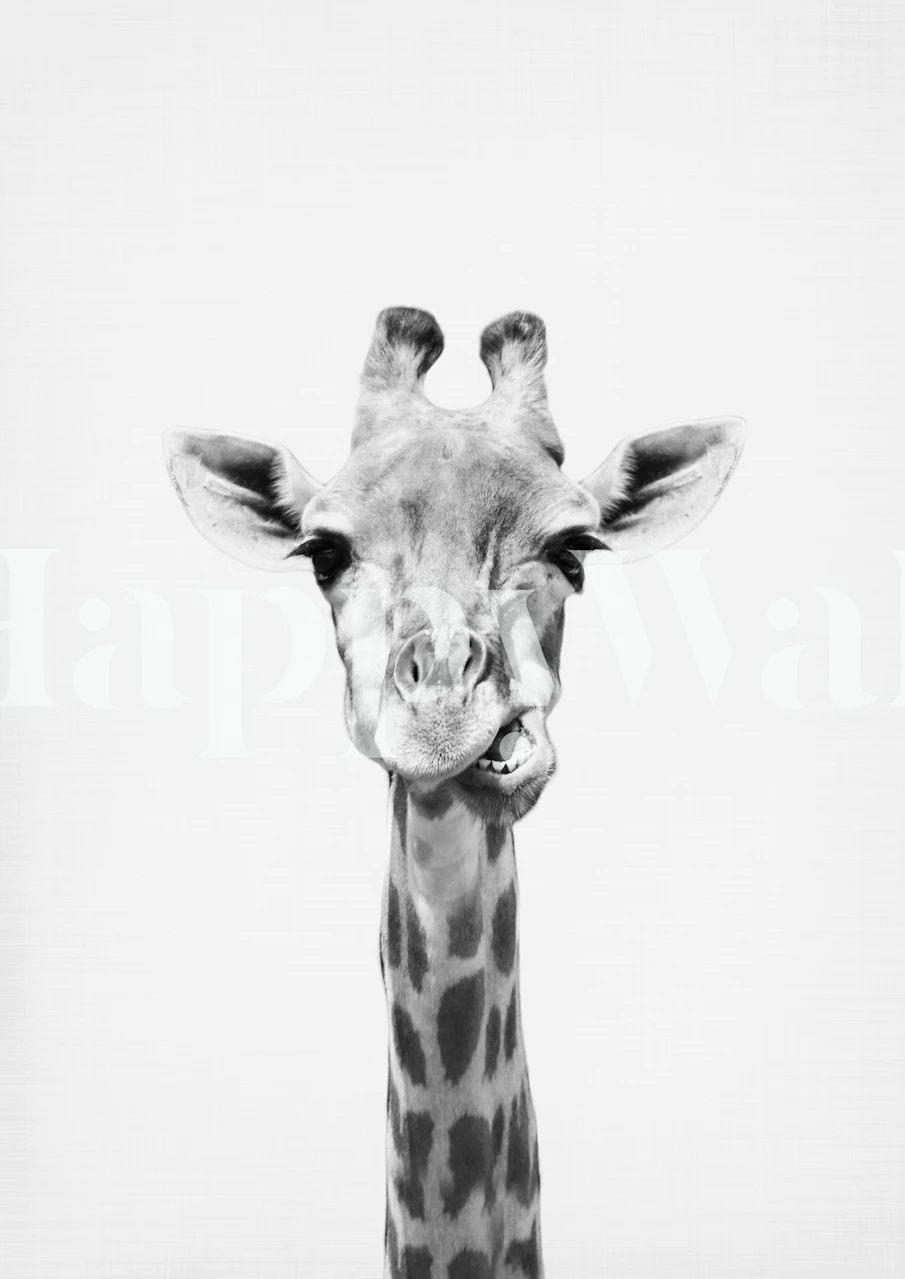 Giraffe Grin papel de parede em um quarto