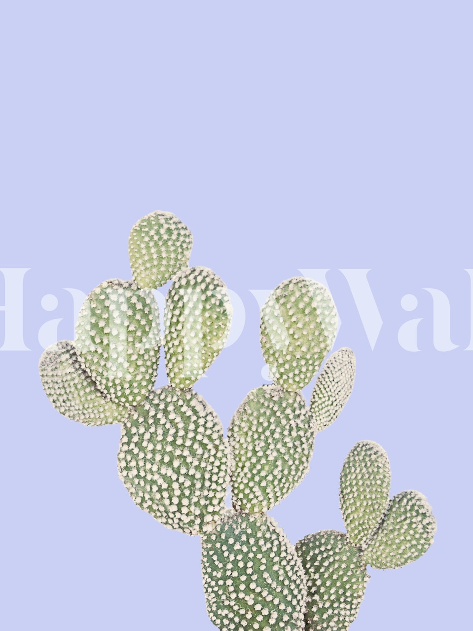 Cactus design on a periwinkle background wallpaper