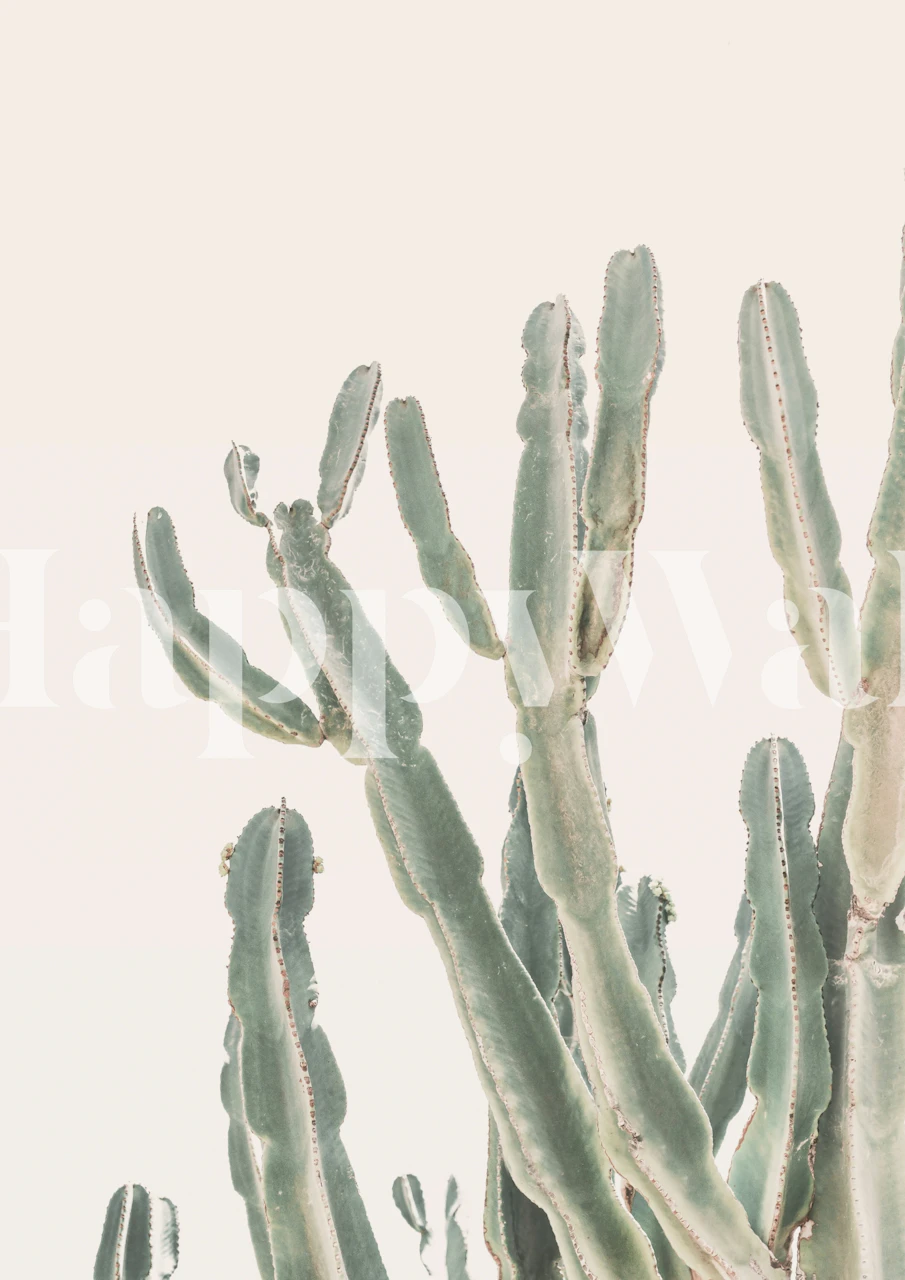 Cactus plant in muted green tones against a soft background wallpaper