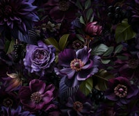 Midnight Garden Purple Flower Magic tapete