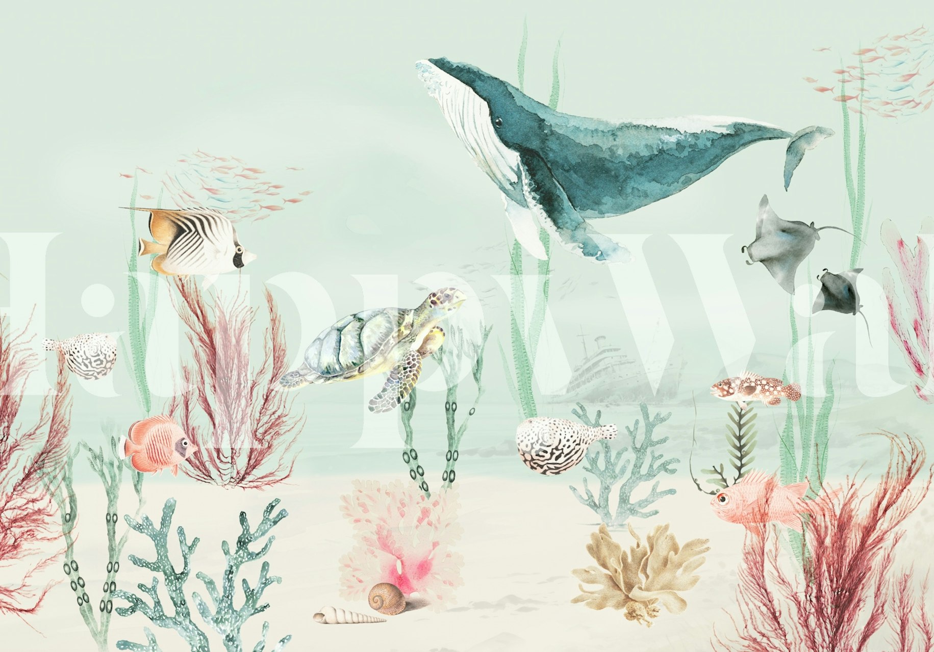 Fototapeta Aqua Adventures Mint se stylizovaným podmořským mořským životem