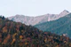Mountain Tree Bliss 3