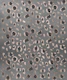 Leopard Animal Print Glam 6