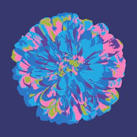 CHRYSANTHEMUMS Floral Single Dark Blue wallpaper