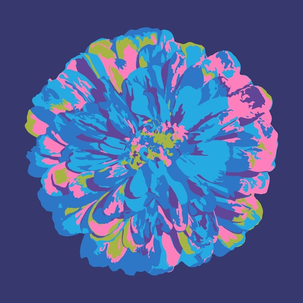 CHRYSANTHEMUMS Floral Single Dark Blue
