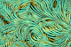 Asian Palm Leaves