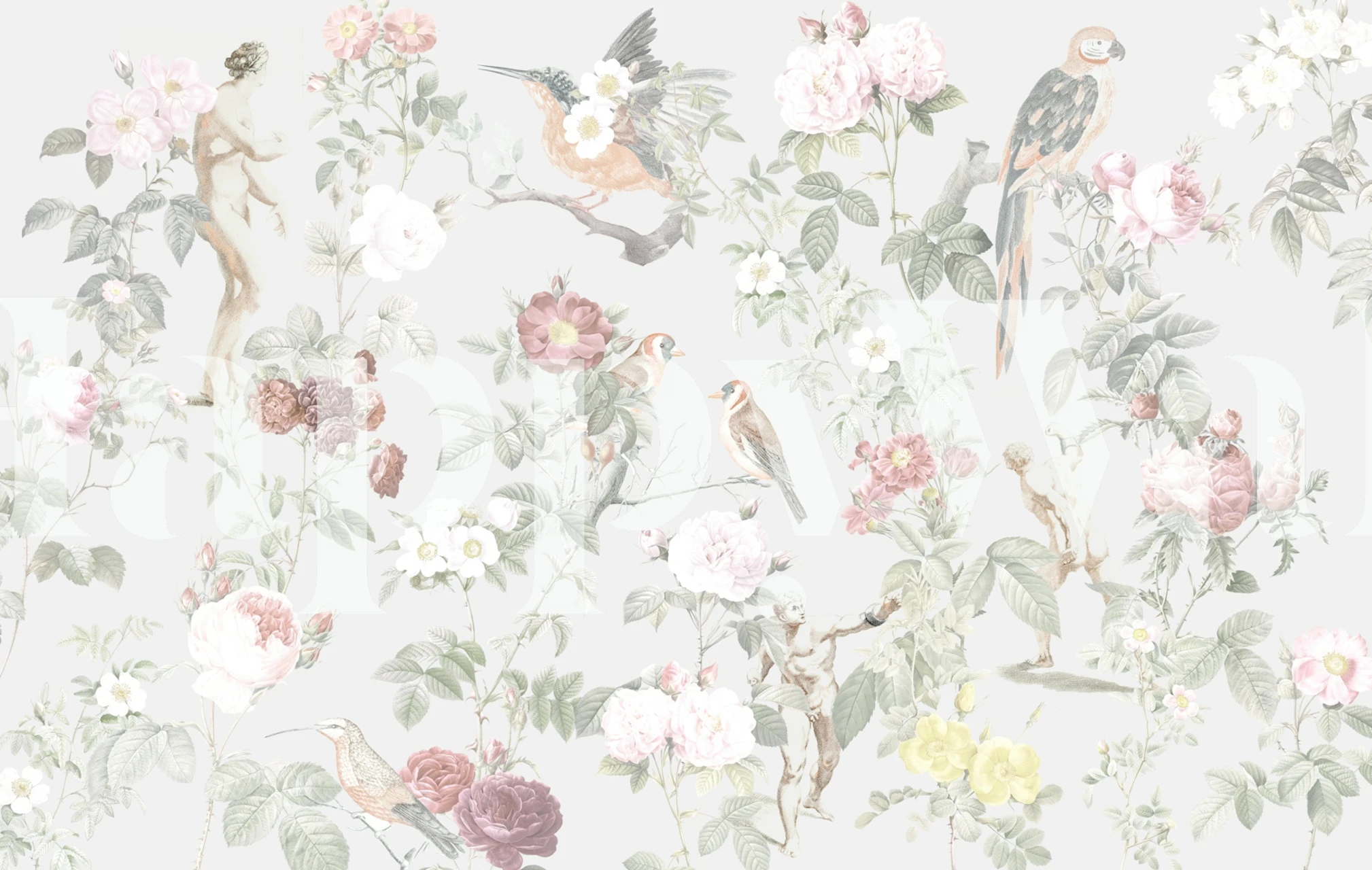 Soft-hued flower and bird illustration wall mural