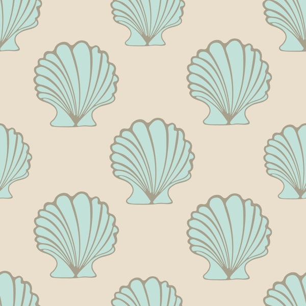 Cockles Scallop Seashells Coastal Beach Mint