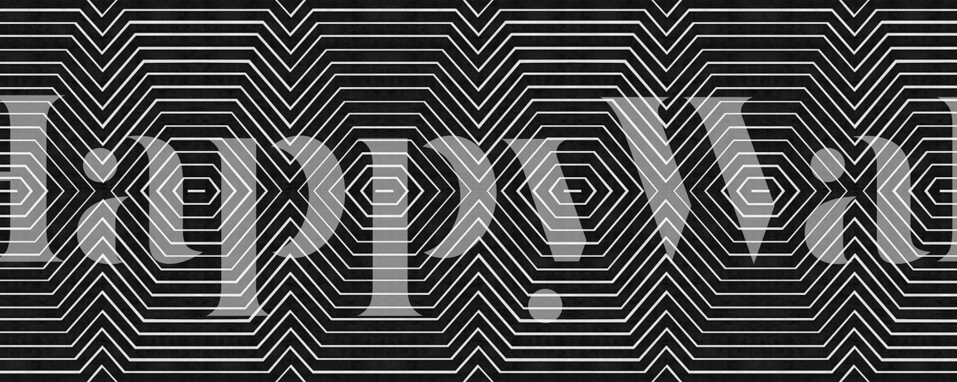 Black and white geometric lines in a tribal pattern wallpaper