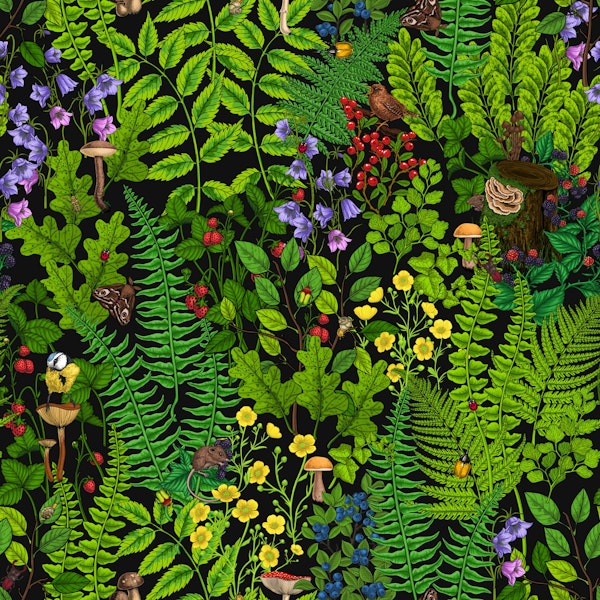 Forest fauna and flora