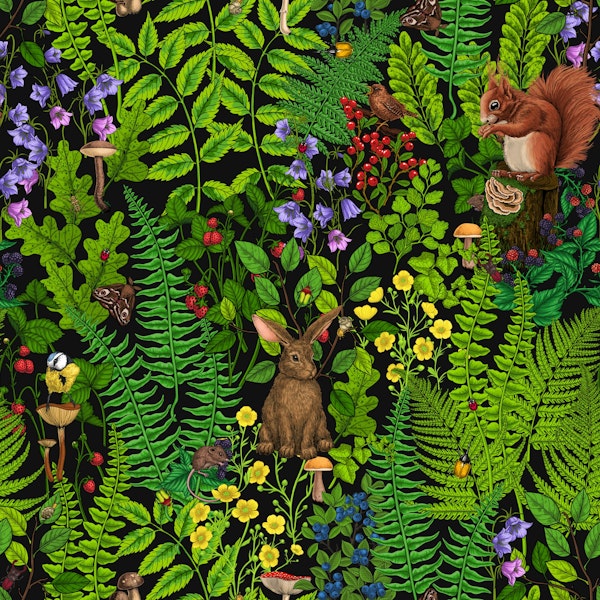 Forest life- squirrel, bird and rabbit