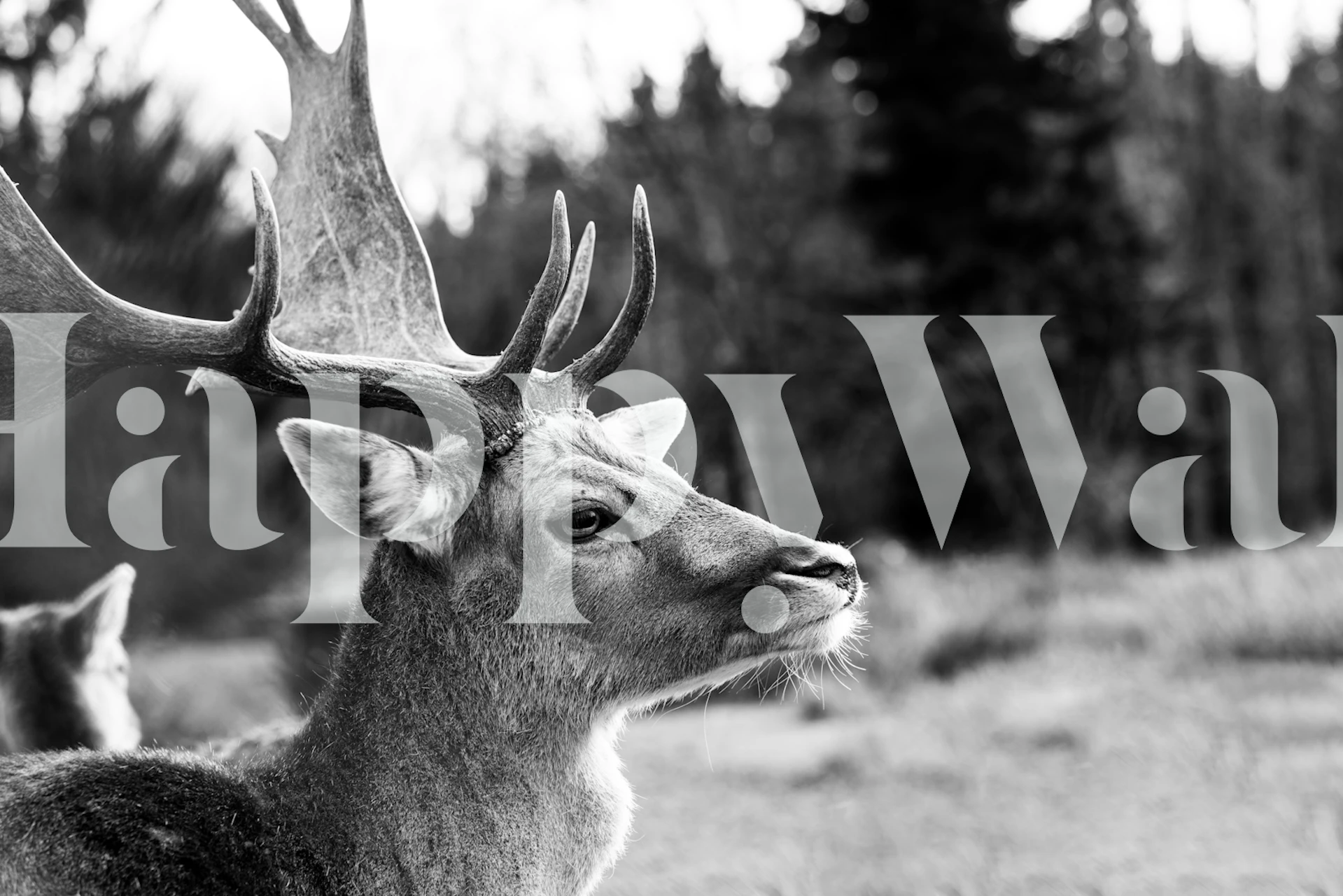 Monokrom tapet föreställande en hjort i en bergsskog