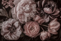 Blush Pink Moody Baroque Blooms tapet