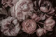 Blush Pink Moody Baroque Blooms