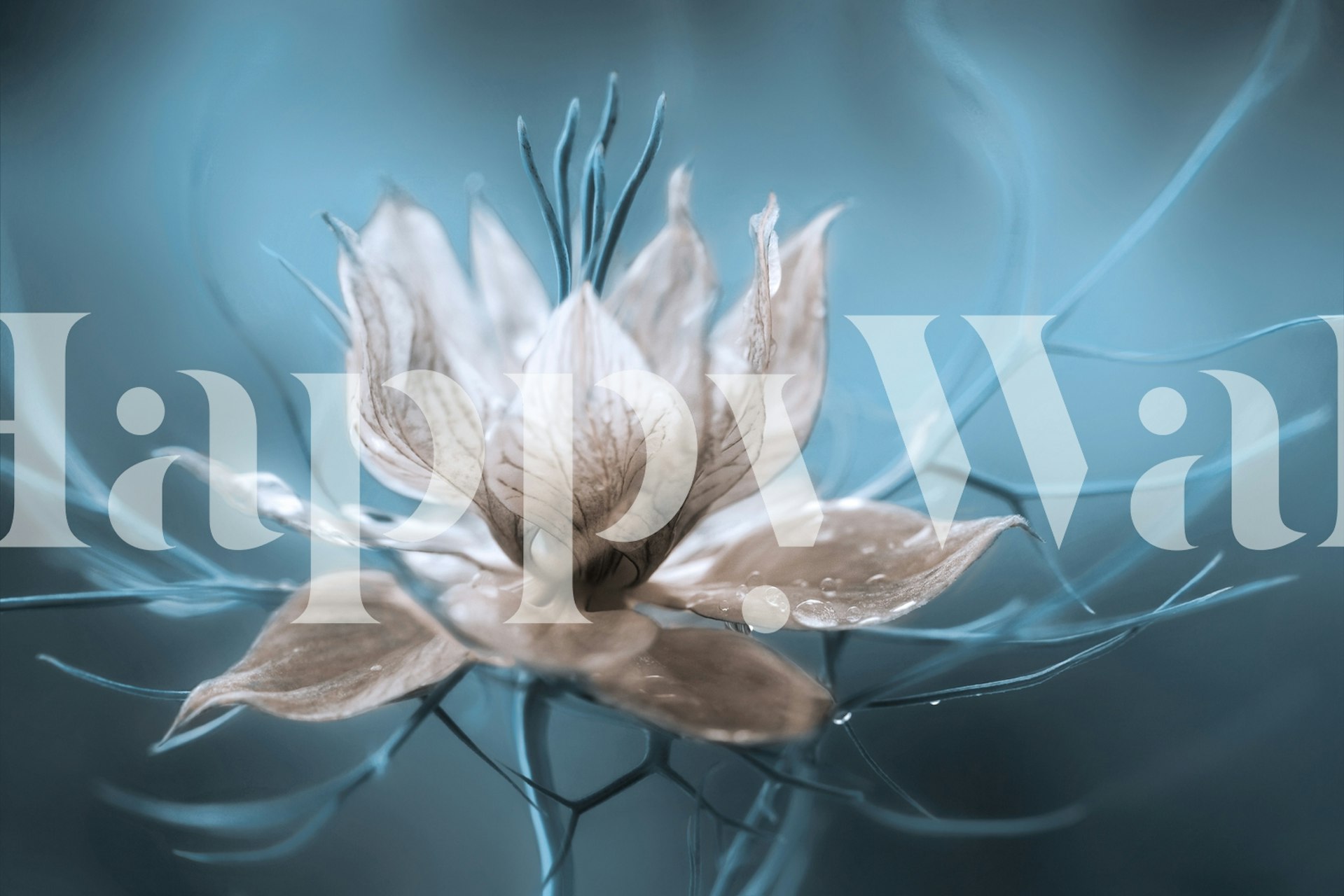 Abstract delicate flower design in blue tones wallpaper