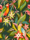 parrots in the jungle – large