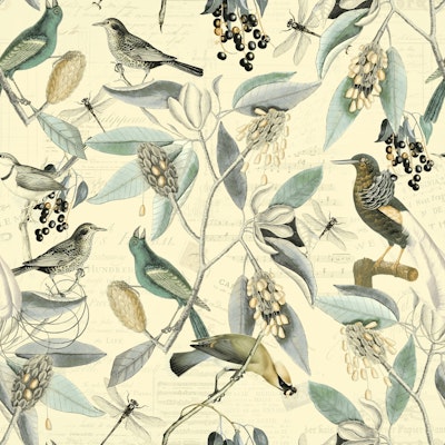 Pattern