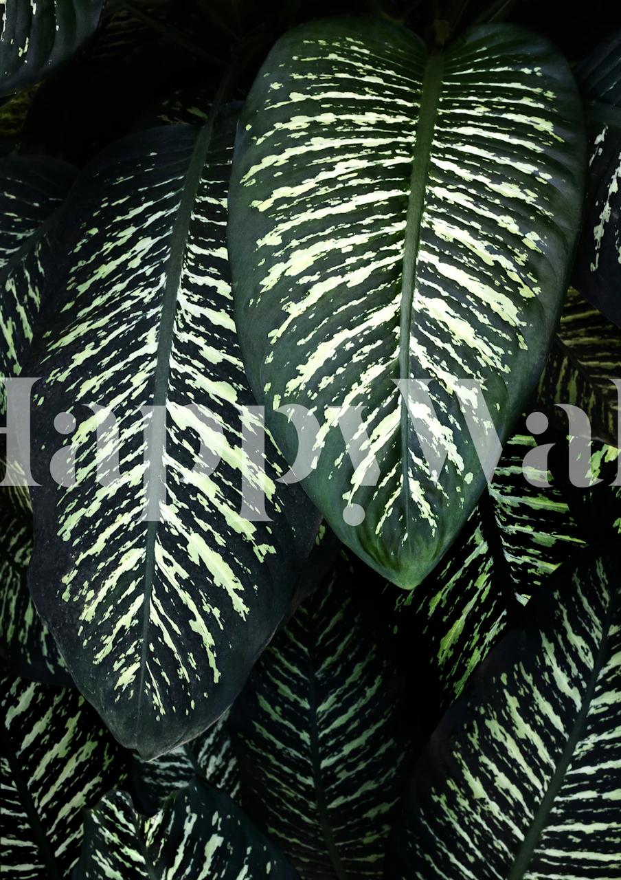 Lush green jungle foliage wall mural with variegated leaf patterns.