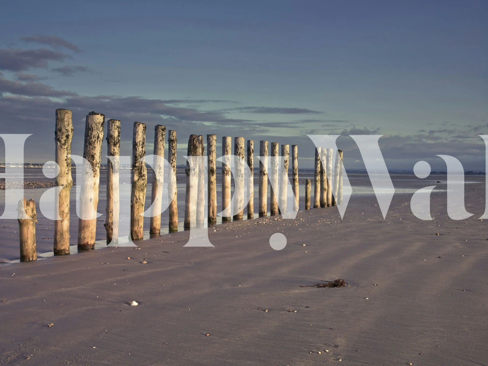 Rivi haalistuneita puupylväitä rauhallisella rannalla ja laaja horisonttitapetti