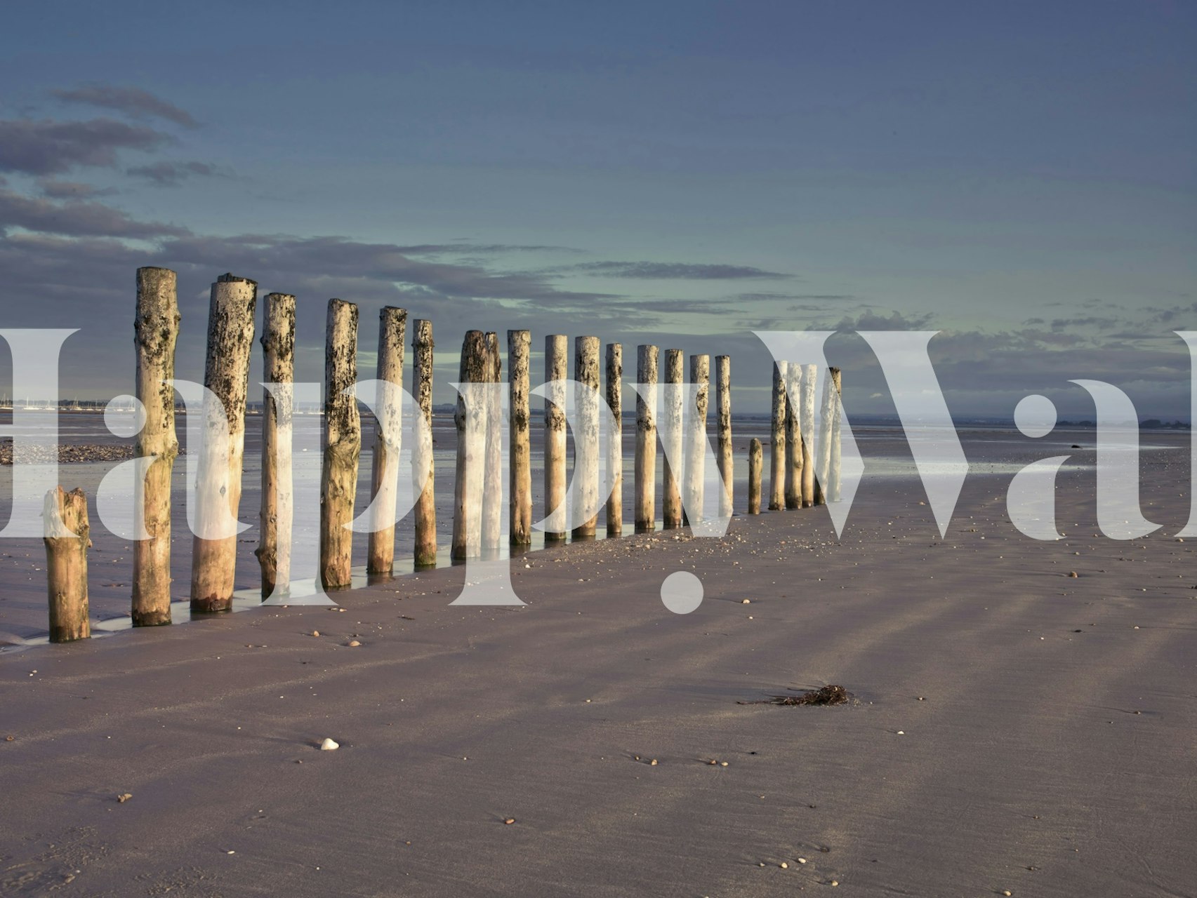 Σειρά ξεπερασμένων ξύλινων στύλων σε μια γαλήνια παραλία με τοιχογραφία με εκτεταμένο ορίζοντα