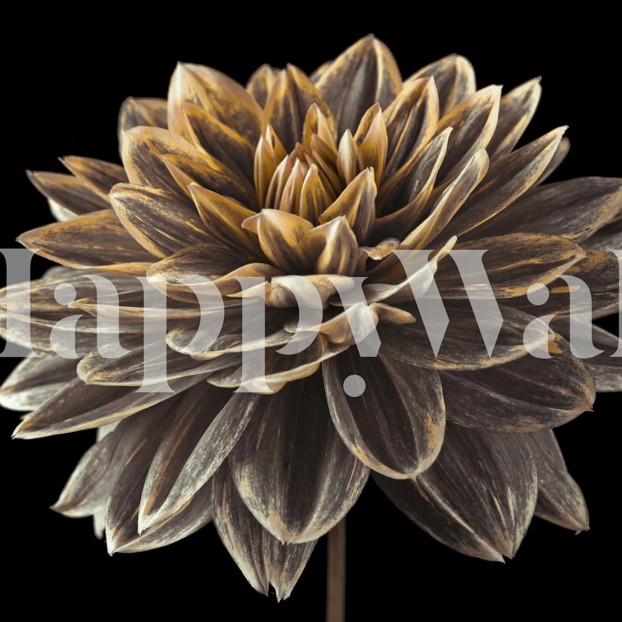 Intricate beauty floral wallpaper design